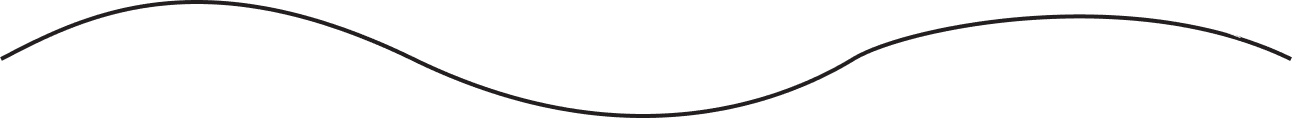 A black wavy horizontal line on a white background.